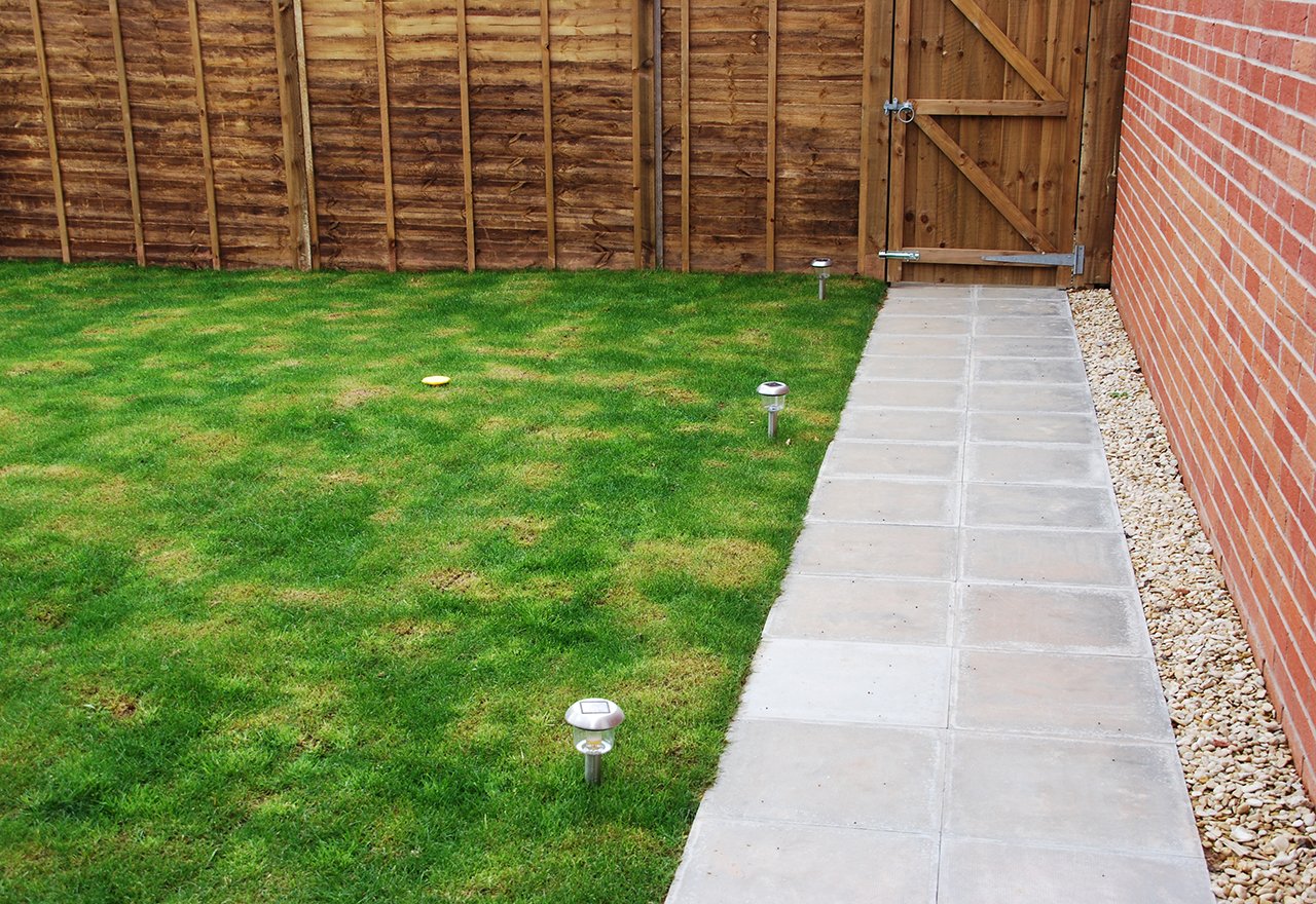 Multicolored Patchy Lawn